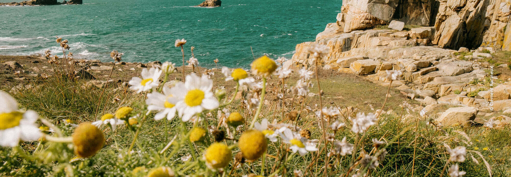 À propos du fond de dotation Hémato Breizh